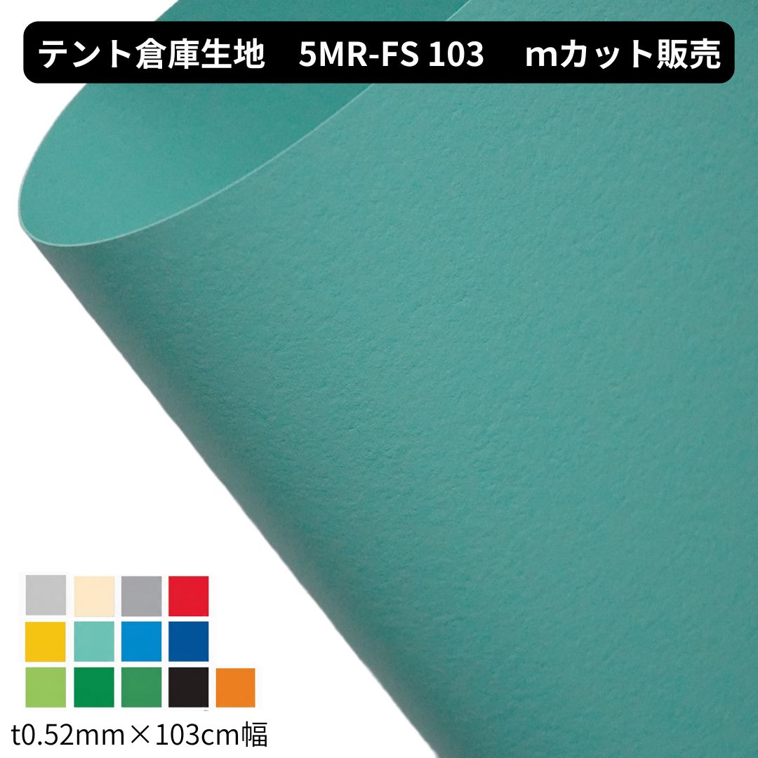 5MR-FS